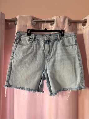 American Eagle Outfitters Light Blue Cutoff Denim Shorts